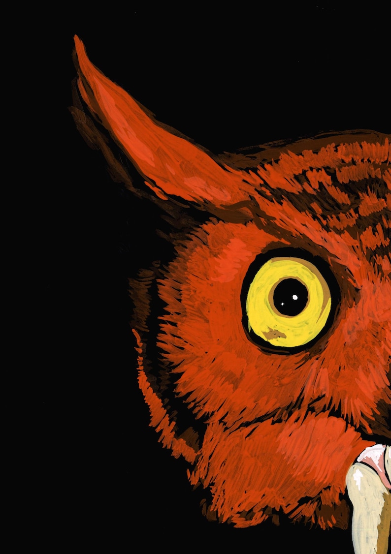 May include: Close-up of an owl's eye, with a bright yellow iris and a black pupil. The owl's feathers are a vibrant orange-red color.