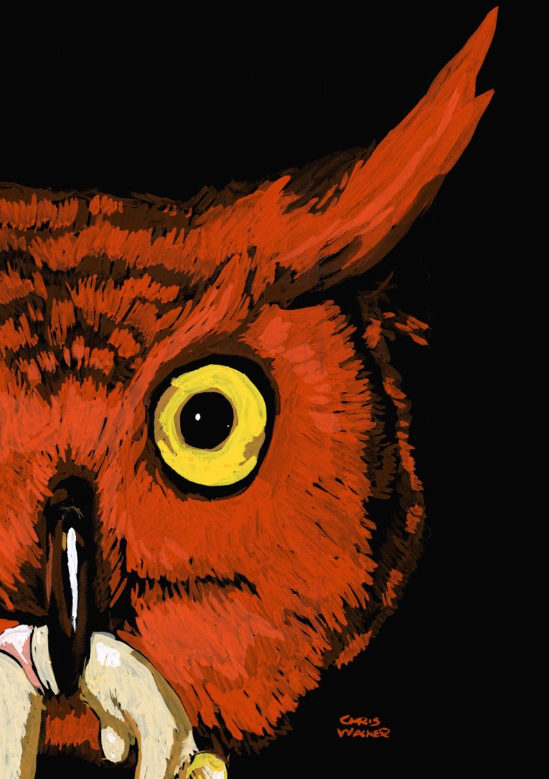 May include: A close-up of an owl's face with a bright yellow eye. The owl is painted in shades of red and orange against a black background. The artist's signature, "Chris Walker", is visible in the lower right corner.