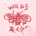 Wild's and Co