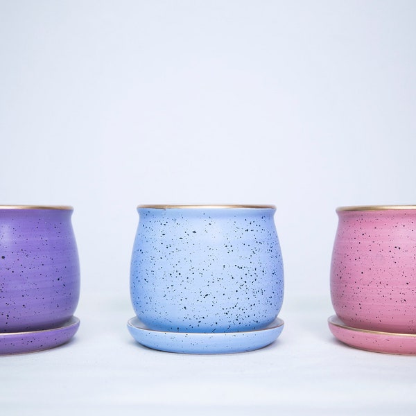 Ensemble de jardinières succulentes en céramique mouchetée : rose pastel, bleu, violet, bordure dorée
