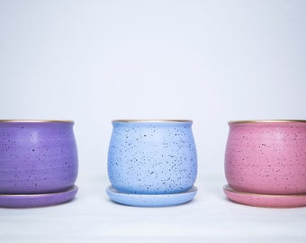 May include: Three ceramic planters with gold rims and speckled glaze. The planters are purple, blue, and pink. Each planter has a matching saucer.