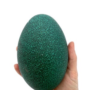 May include: A large, green egg with a textured surface, held in a hand against a white background. The egg's color is a deep teal with a speckled pattern, giving it a unique appearance. The egg is oval-shaped and appears to be a decorative item.