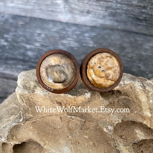 picture jasper stud earrings