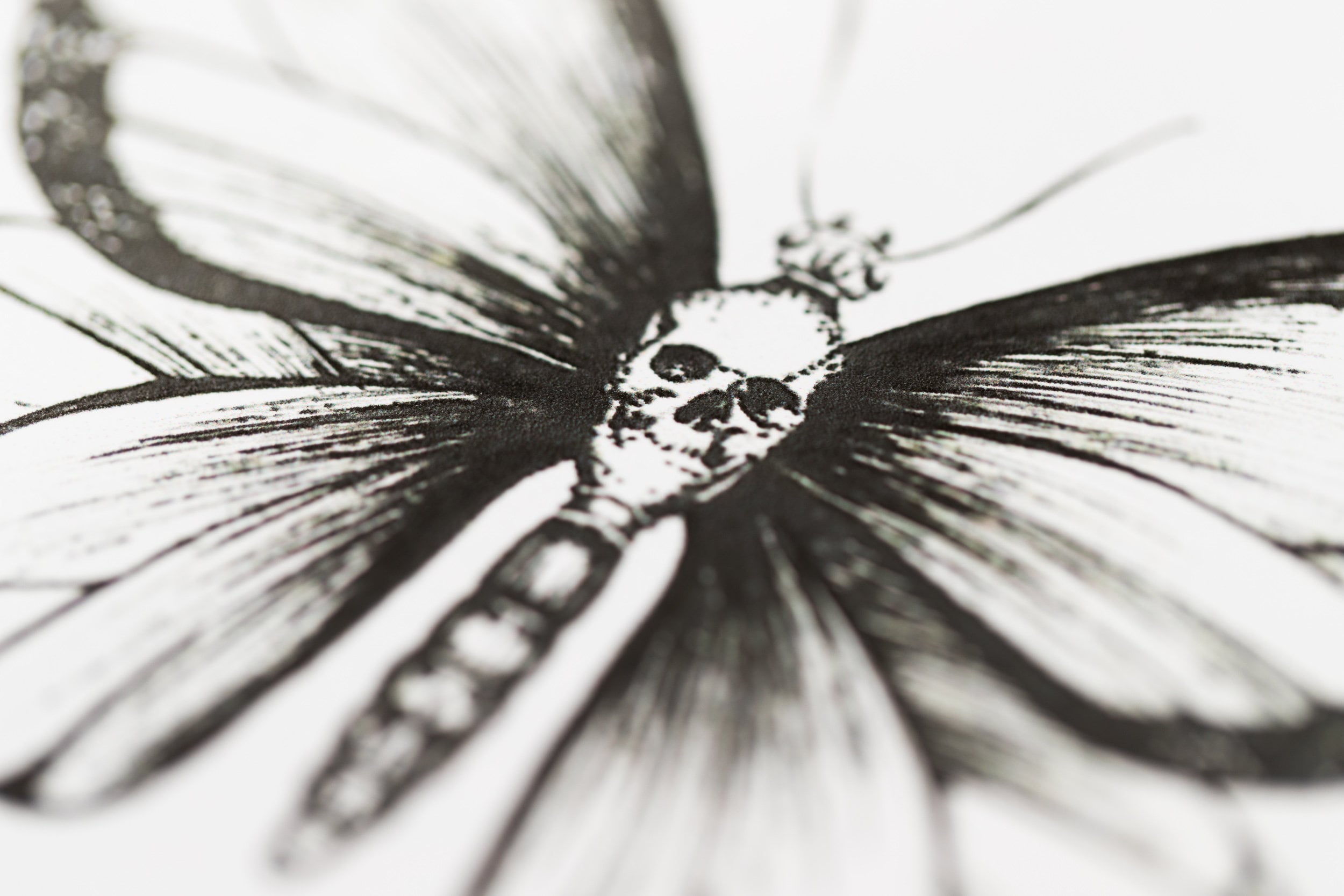 Skull Butterflies Print Limited Edition of 30 by Artist Etsy