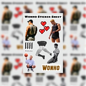 Wonho Sticker Sheet