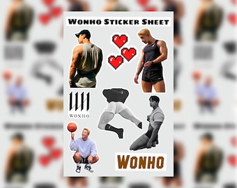 Wonho Sticker Sheet