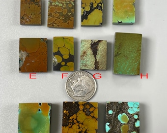 May include: Ten rectangular pieces of turquoise stone, each with a unique pattern of green, brown, and black. A US dime is included for scale.