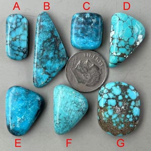 May include: Seven turquoise cabochons of varying shapes and sizes, labelled A through G. The cabochons are a mix of blue and green hues with brown matrix. A US quarter is included for scale.