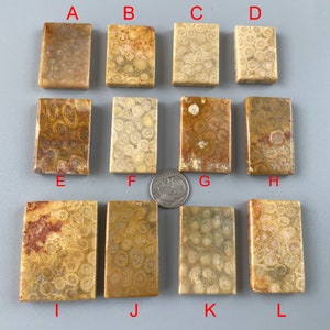 Peut inclure: Une collection de douze cabochons rectangulaires en corail fossile, chacun avec des motifs et des couleurs uniques allant du beige au marron. Les cabochons sont disposés en trois rangées de quatre, avec une pièce de monnaie pour la référence de taille. Ces pierres polies sont idéales pour la création de bijoux.