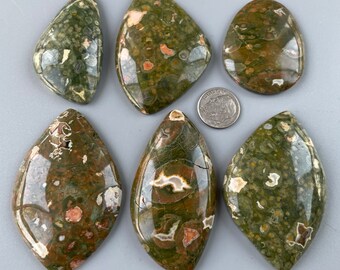 Natural Freeform Forest Jasper Cabochon/Cab b9178