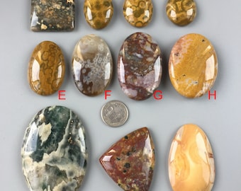 Puede incluir: Surtido de 11 cabujones de ágata pulidos en varias formas y tamaños. Los cabujones presentan una variedad de colores y patrones, incluyendo marrón, amarillo, rojo, verde y blanco.