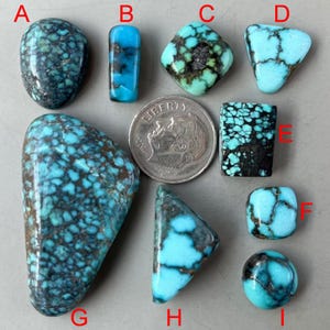 May include: Nine turquoise cabochons of varying shapes and sizes, including oval, rectangular, square, and triangular. The cabochons are a mix of blue and green hues with black matrix.