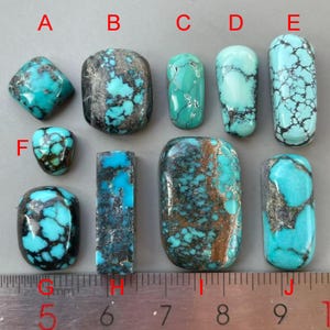 May include: A selection of turquoise gemstones in diverse shapes, such as square, oval, and rectangular. The stones exhibit a spectrum of blue-green shades with dark matrix patterns. A ruler with millimeter markings is at the bottom.