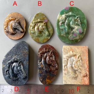 May include: Six carved stone cabochons featuring horse head reliefs, labelled A through F. The stones include tiger's eye, green zoisite with ruby, dark blue, reddish-brown, and fossilised coral, arranged above a metal ruler showing metric units.