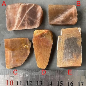 Puede incluir: Cinco piezas de piedra de sol pulida, etiquetadas de la A a la E, con una regla para la escala. Las piedras son de varios tonos de marrón, naranja y rosa con un efecto brillante e iridiscente.