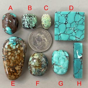 Stabilized Green Freeform Bamboo Mountain Hubei Turquoise Cabochon/Gemstone Cab Y515