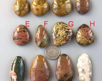 Puede incluir: Una colección de piedras preciosas pulidas en varias formas y colores, incluyendo formas de lágrima y ovaladas. Las piedras muestran una gama de tonos terrosos, como marrón, verde y rojo, con patrones y texturas únicos. Se incluye una moneda de diez centavos estadounidense como referencia de tamaño.