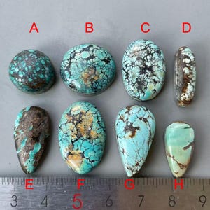 Può includere: Otto cabochon di turchese etichettati da A a H, disposti in due file sopra un righello metallico. Le pietre presentano forme varie, tra cui rotonde, ovali e a goccia, con intricati motivi a matrice neri e marroni su tonalità blu e verdi.