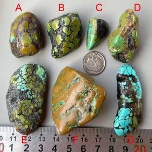 May include: A collection of turquoise stones in various shapes and sizes, showcasing a mix of green, blue, and brown hues. The stones are arranged on a surface with a ruler, and a coin is included for size comparison. The stones have a natural, organic appearance.