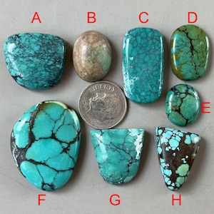 Stabilized Freeform Bamboo Mountain Hubei Turquoise Cabochon/Chinese Gemstone Cab Backed Y543