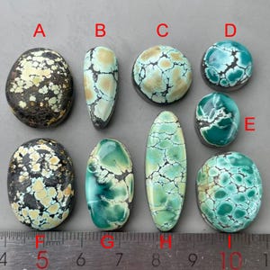 Naturlig friformad bambubergs-Hubei-turkos-cabochon/kinesisk ädelsten-cabochon med baksida Y1327