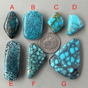 May include: Seven turquoise cabochons of varying shapes and sizes, including a diamond, rectangle, and triangle. The stones are a vibrant blue-green colour with black and brown matrix.