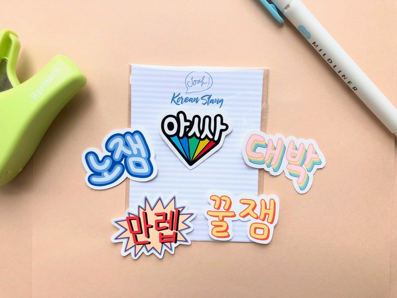 Korean Slang Stickers // Korean Stickers // Kawaii Stickers // Etsy