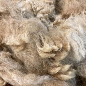 Fawn alpaca fiber