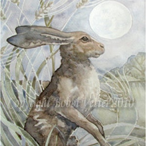 Moongazing Hare