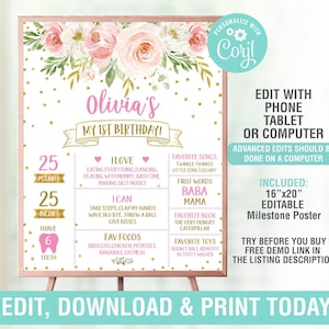 Blush Floral Milestone Birthday Poster EDITABLE,Editable Floral,First Birthday Chalkboard,1st birthday poster,Stats Board First Year,EDIT