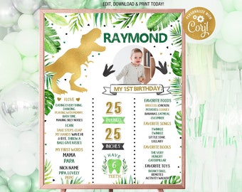 Letrero de hito de dinosaurio, tablero de hito de primer cumpleaños, pizarra de primer cumpleaños de T-Rex, póster de cumpleaños de dinosaurio editable, foto digital