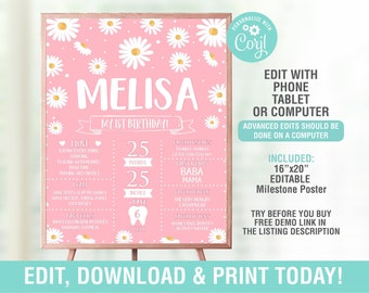 Daisy Milestone Birthday Poster EDITABLE, Daisy First Birthday Chalkboard, 1st birthday poster,Stats Board First Year, Editable PDF