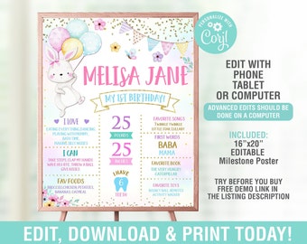 Bunny Milestone Birthday Poster EDITABLE, Spring Pink Gold Milestone, First Birthday Chalkboard, 1st birthday poster,Stats Board First Year