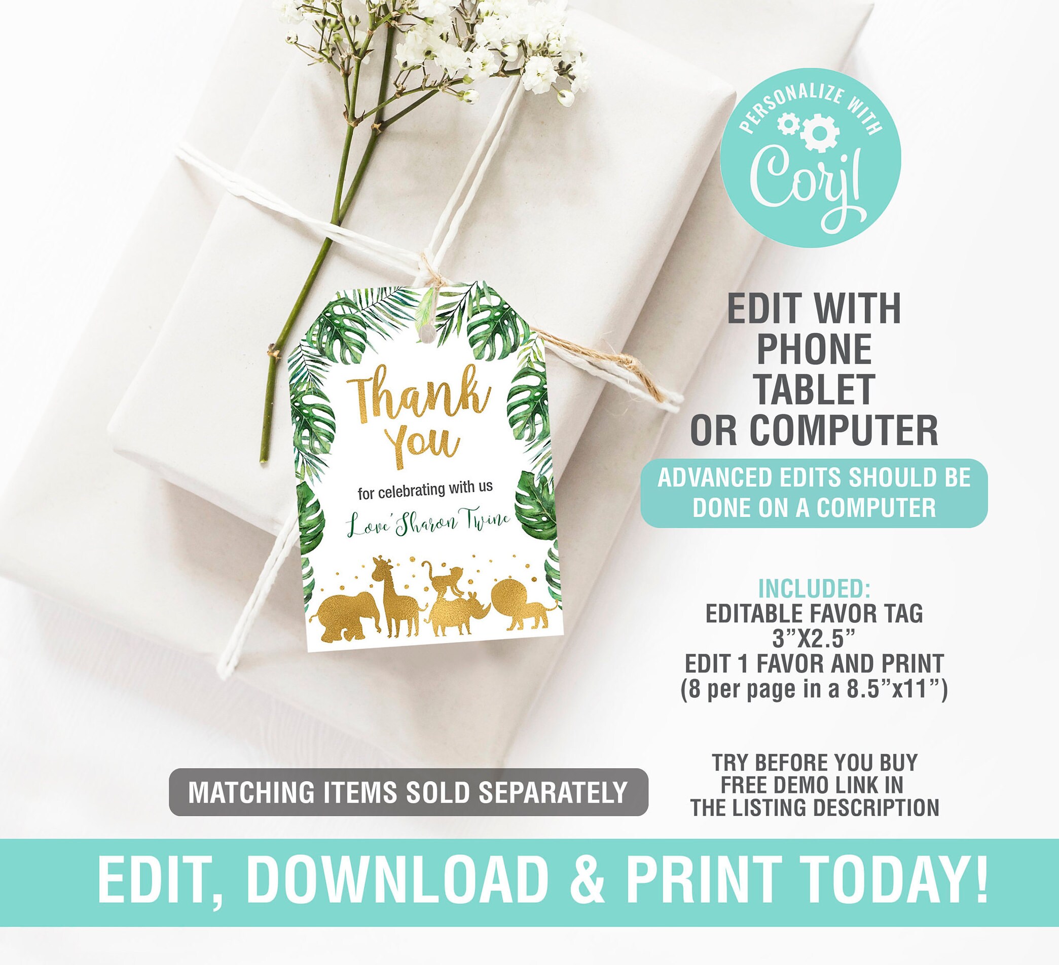 Safari Diaper Raffle Sign Printable Baby Shower Diaper | Etsy