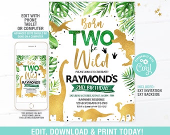 Dinosaur Birthday Invitation EDITABLE, Two Wild Birthday Invite, 2nd Dinosaur Party Invite Printable, Roar Invitation Instant Download