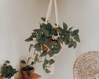 Boho Macrame Planta Hanger Decor