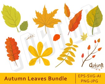 Oak Leaf Clipart Etsy