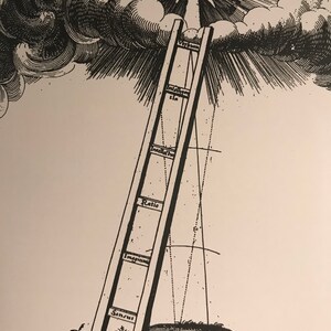 De Fool's Ladder Tarot lezing