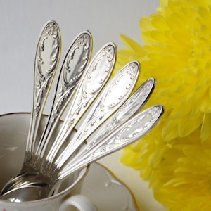Vintage coffee spoon, Mini small spoon, Spice spoon