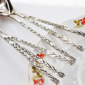 Tea spoon set, Vintage dessert spoons, Tea accessories, Small spoons