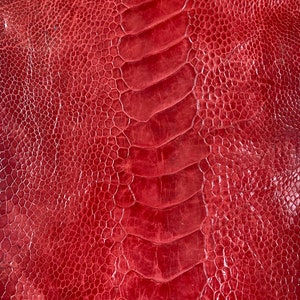 Ostrich leg skin leather tanned genuine leg skin ostrich leather