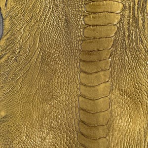 Könnte beinhalten: Nahaufnahme einer strukturierten, goldgelben Straußenlederhaut. Die Haut weist ein zentrales, wirbelsäulenartiges Muster mit abgerundeten, segmentierten Abschnitten auf, die von einer detaillierten, gekörnten Textur umgeben sind. Das Gesamtbild ist glänzend und luxuriös.
