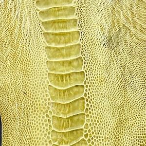 Ostrich leg skin leather tanned genuine leg skin ostrich leather