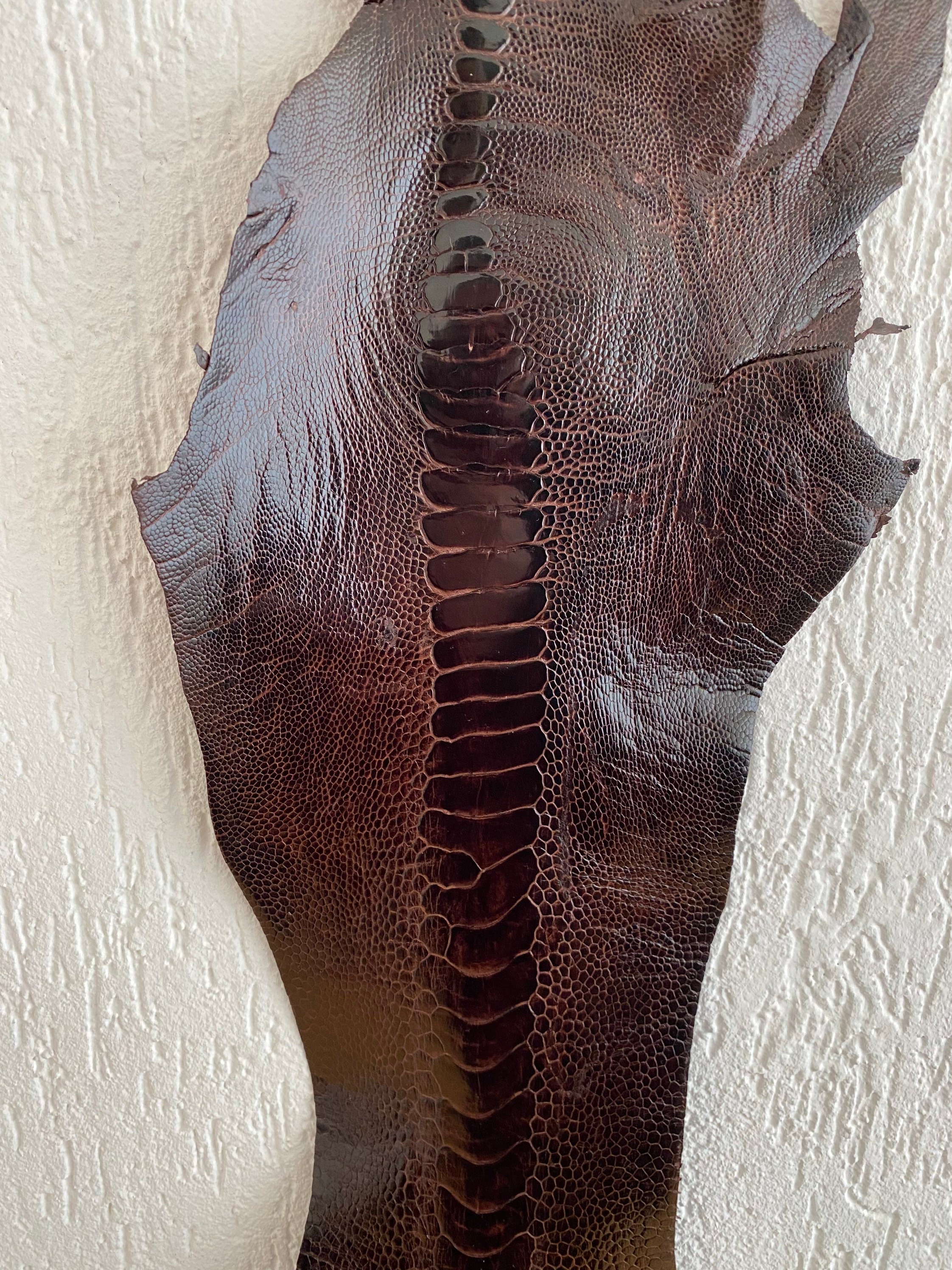 Genuine Ostrich Leg Skin Leather Tanned Genuine Leg Skin Etsy