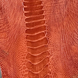 Ostrich leg skin leather tanned genuine leg skin ostrich leather