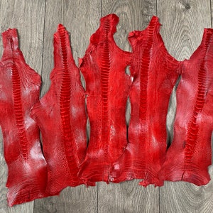 5 Ostrich Legs Leather in one bundle, Ostrich leg skin leather tanned genuine leg skin ostrich leather