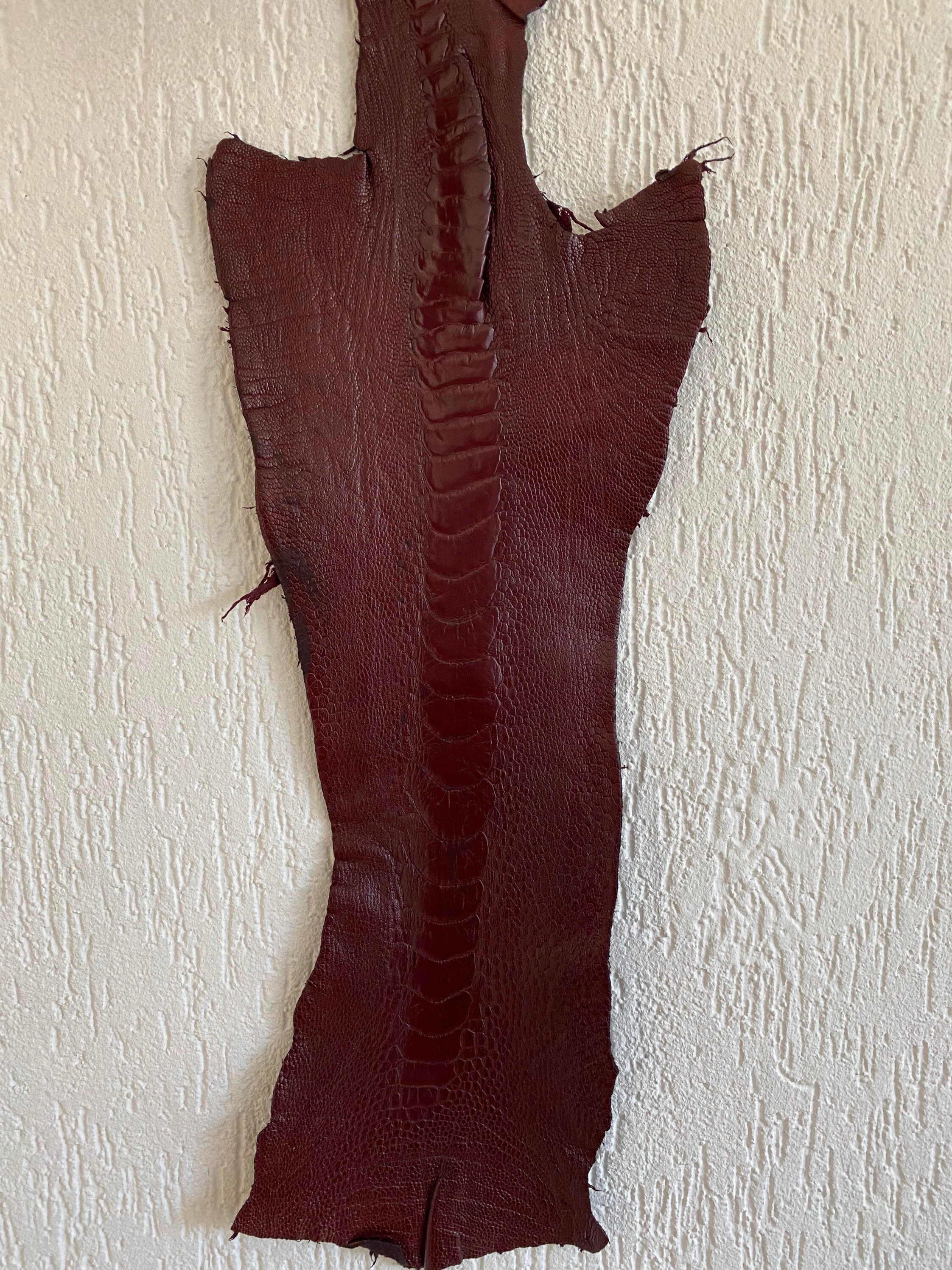 100% genuino avestruz piel de avestruz pierna piel piel | Etsy