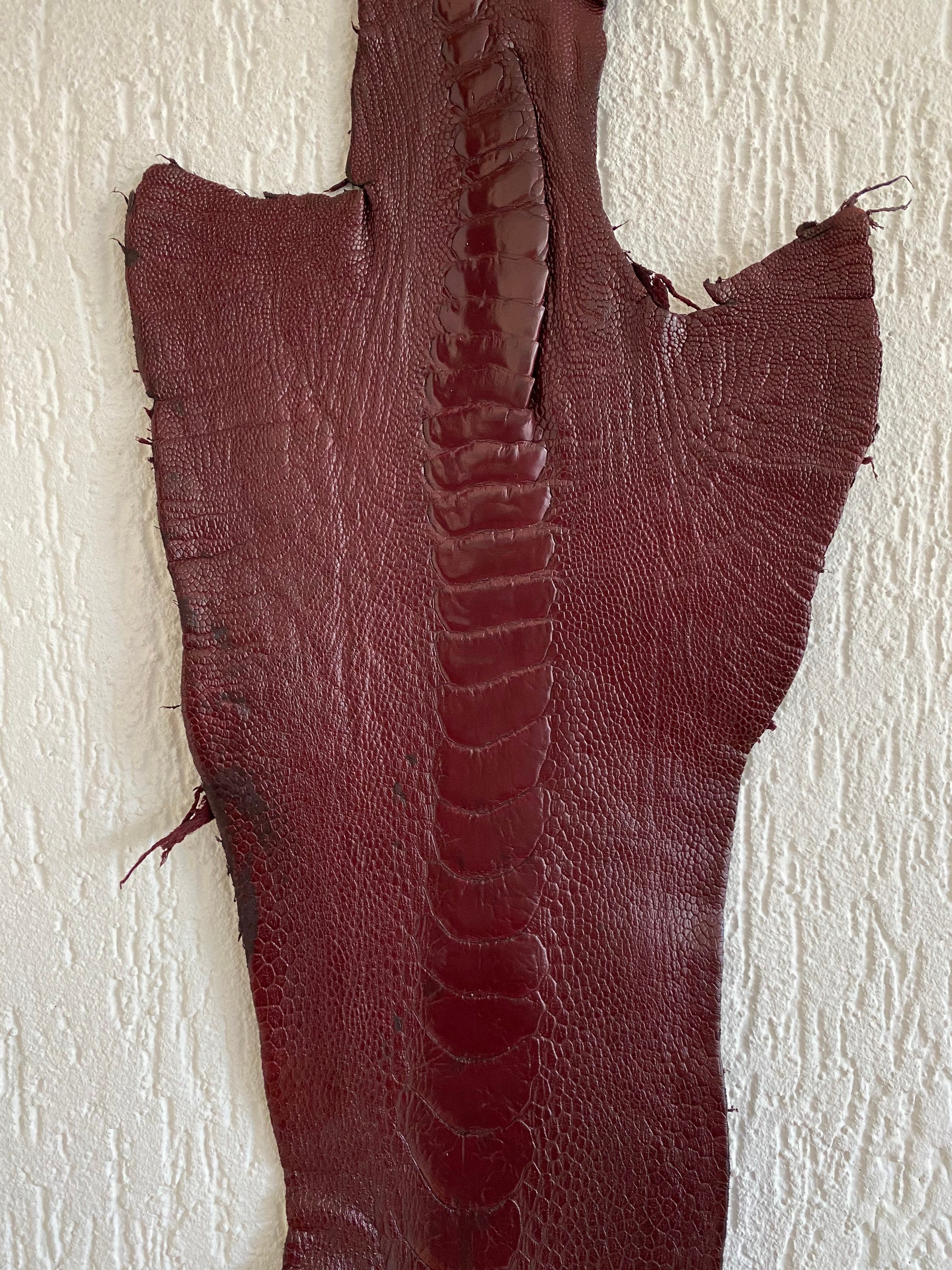 100% genuino avestruz piel de avestruz pierna piel piel | Etsy