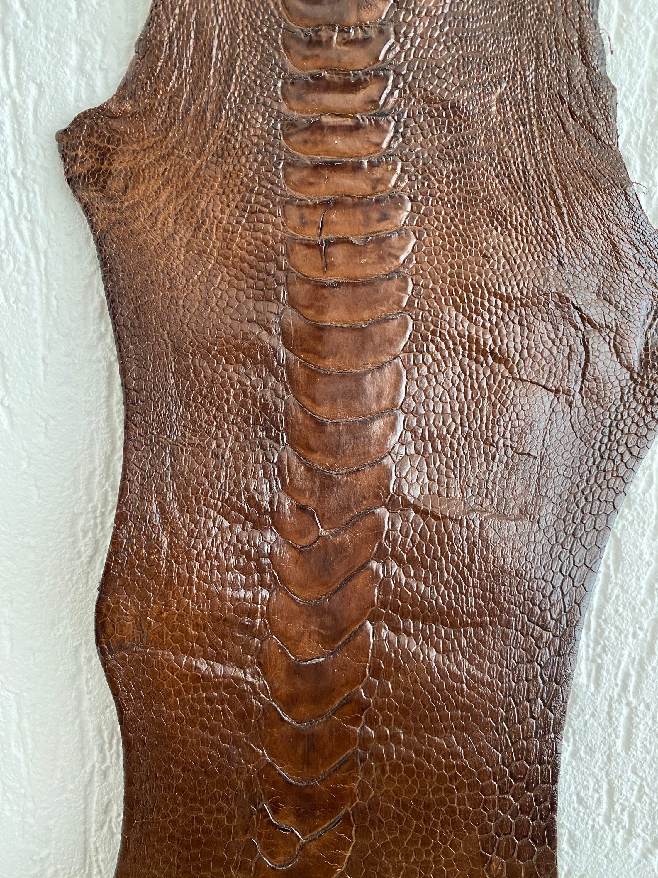 100% GENUINE OSTRICH LEG SKIN LEATHER HIDE exotic leather 100% GENUINE OSTRICH LEG SKIN LEATHER HIDE exotic leather