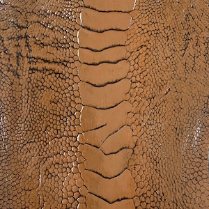 Ostrich leg skin leather tanned genuine leg skin ostrich leather